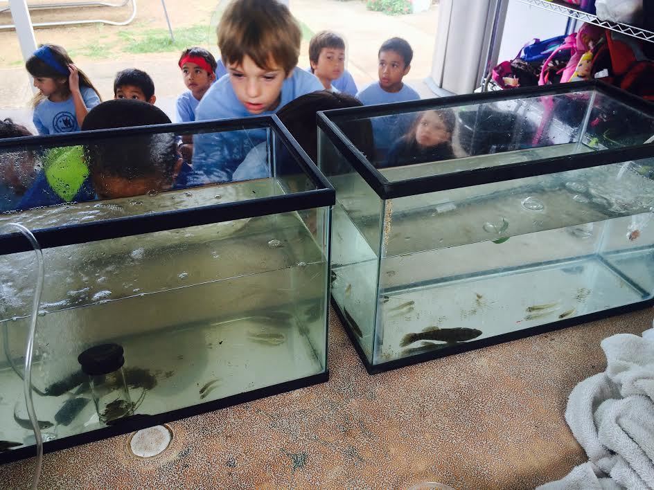A Visit from NOAA- Fresh Water, Salt Water, Brackish Water