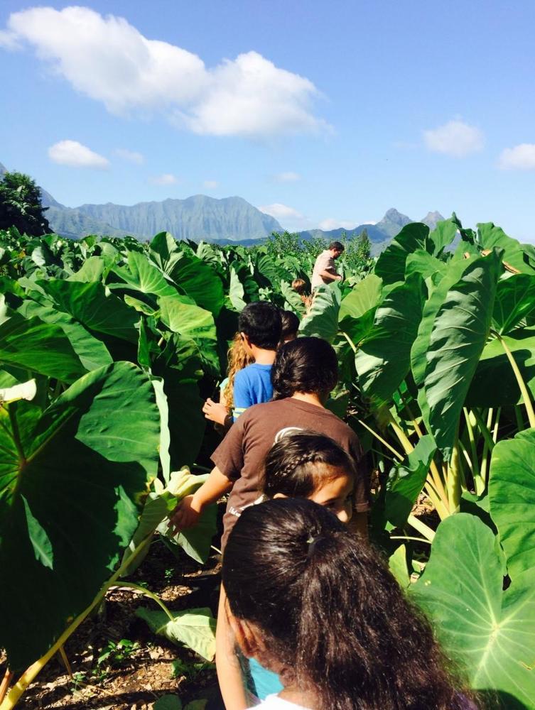 Huakaʻi to CTAHR