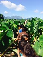 Huakaʻi to CTAHR
